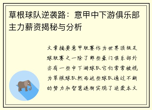 草根球队逆袭路：意甲中下游俱乐部主力薪资揭秘与分析